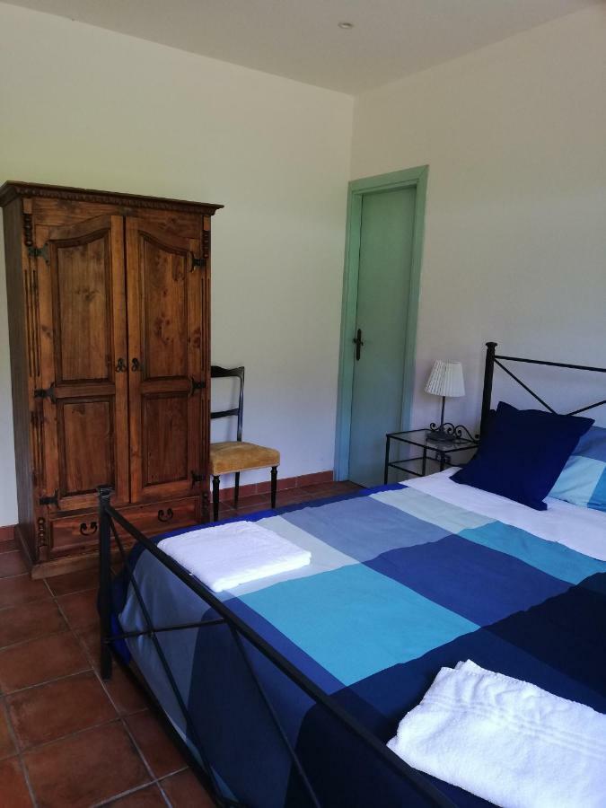 טרצ'ינה Agriturismo Le Folaghe מראה חיצוני תמונה