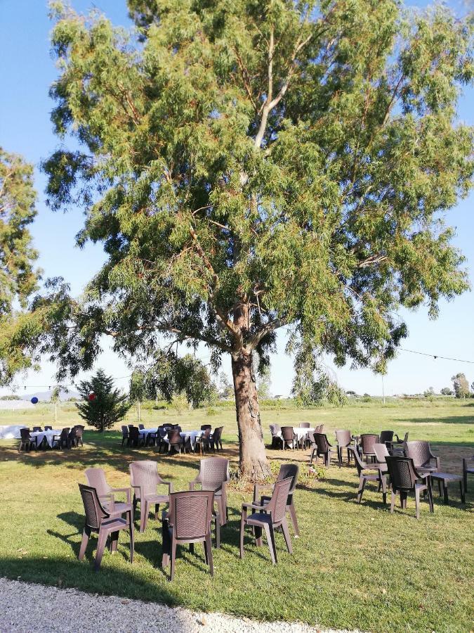 טרצ'ינה Agriturismo Le Folaghe מראה חיצוני תמונה