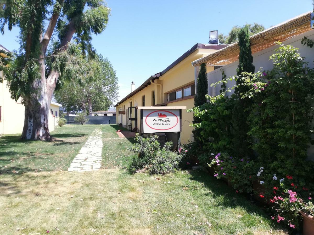 טרצ'ינה Agriturismo Le Folaghe מראה חיצוני תמונה