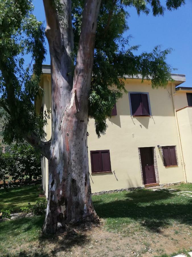 טרצ'ינה Agriturismo Le Folaghe מראה חיצוני תמונה
